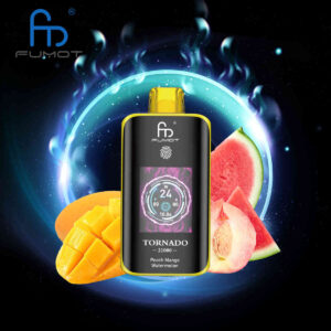 vape kopen RandM Tornado 25000