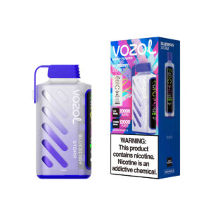 Vozol Gear Power 20000 Blueberry Storm