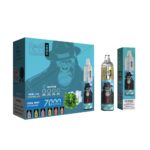 Einweg Vape Ohne Nikotin Cool Mint 1 Einweg Vape Ohne Nikotin Cool Mint 1