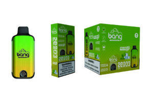 Bang Vpae 20000 Puff Mint