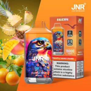 Jnr Falcon Pineapple Mango Orange