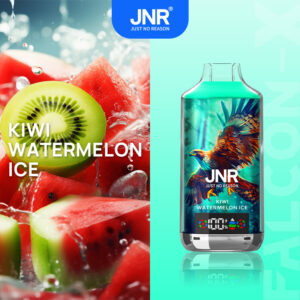 Puff Jnr 18k Kiwi Watermelon Ice