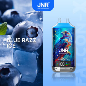 Puff Jnr 18k Blue Razz Ice
