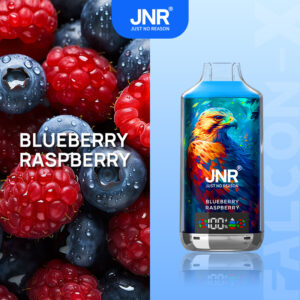 Puff Jnr 18k Blueberry Raspberry