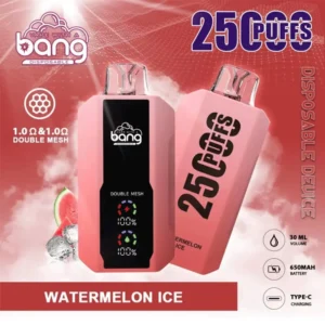 Watermelon Ice Bang 25000 Puffs