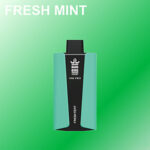 Bangking 30k Pro 30000 Puffs Fresh Mint Bangking 30k Pro 30000 Puffs Fresh Mint