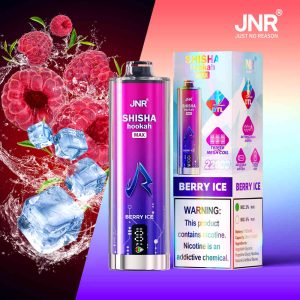 Jnr Shisha Max 22000 Puff Berry Ice