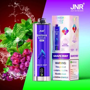 Jnr Shisha Max 22000 Puff Grape Mint