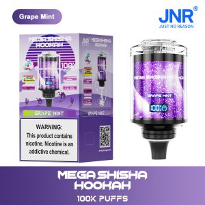 Puff Jnr 100k Mega Shisha Hookah Grape Mint