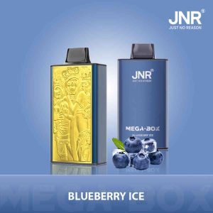 Puff Jnr Mega Box 25000 Puffs Blueberry Ice