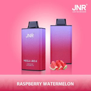 Puff Jnr Mega Box 25000 Puffs Raspberry Watermelon