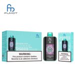 Randm Vape 25000 Blueberry On Ice