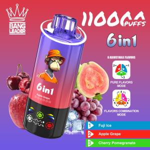 Bang Leader 110K Fuji Ice & Apple Grape & Cherry Pomegranate - E-cigarette  sans nicotine